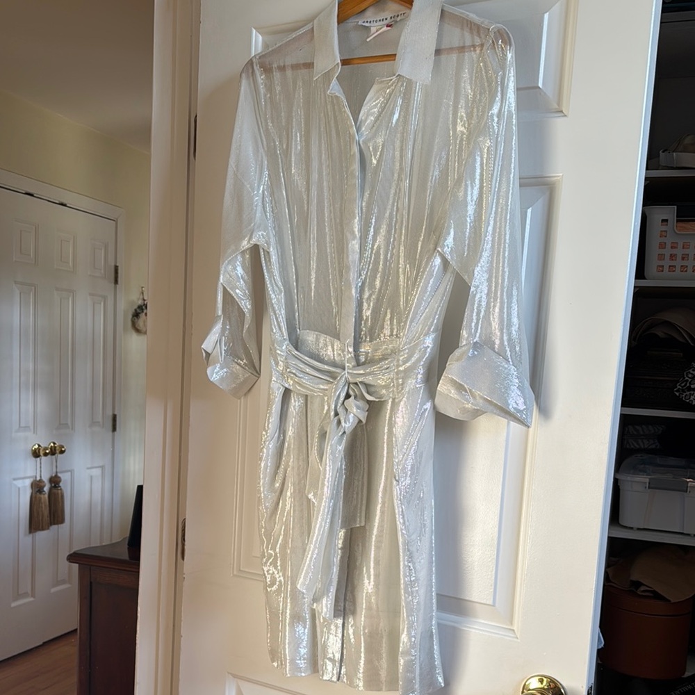 Shimmering Silver Button-Up Dress